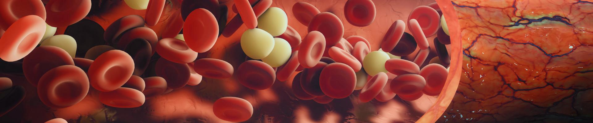 Normas para el control del colesterol y los trigliceridos