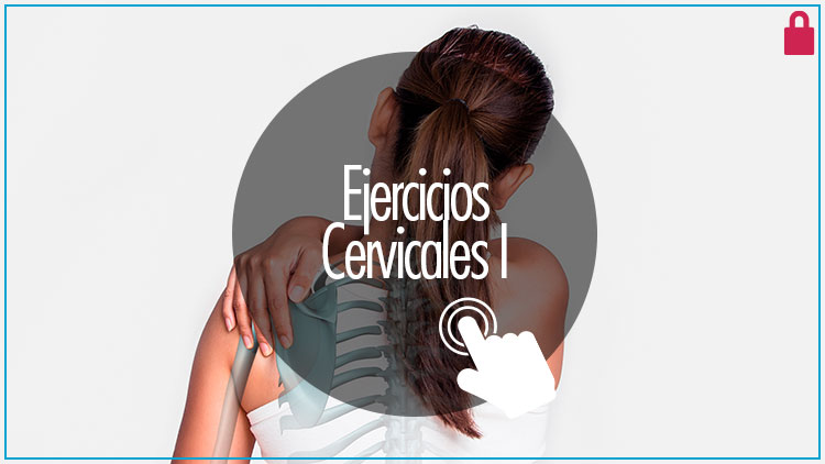 Ejercicios cervicales I