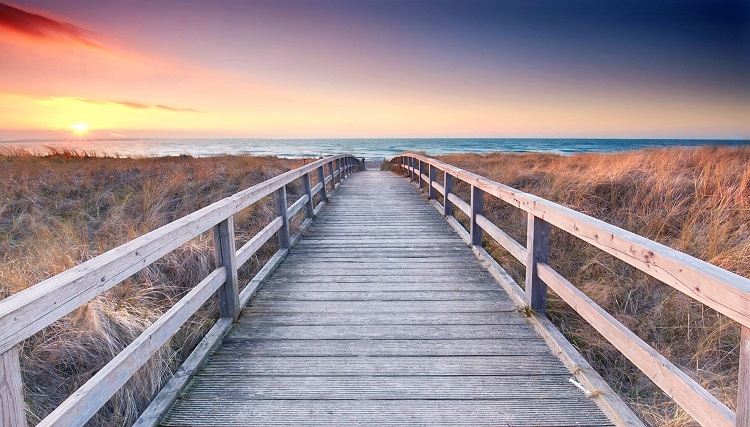 Introducción al mindfulness
