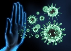 virus