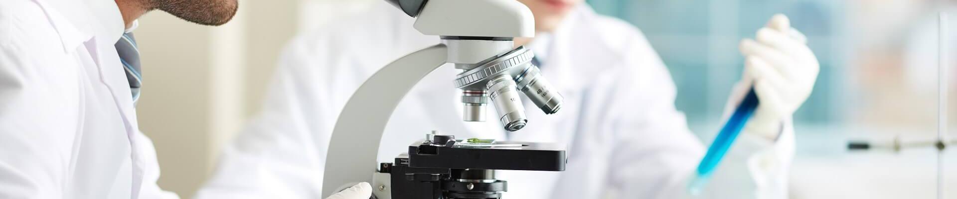 Investigación