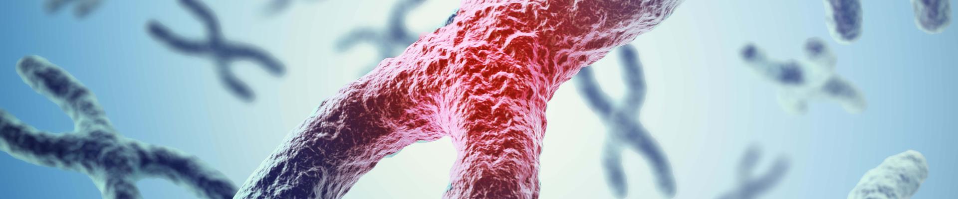 adn y genetica
