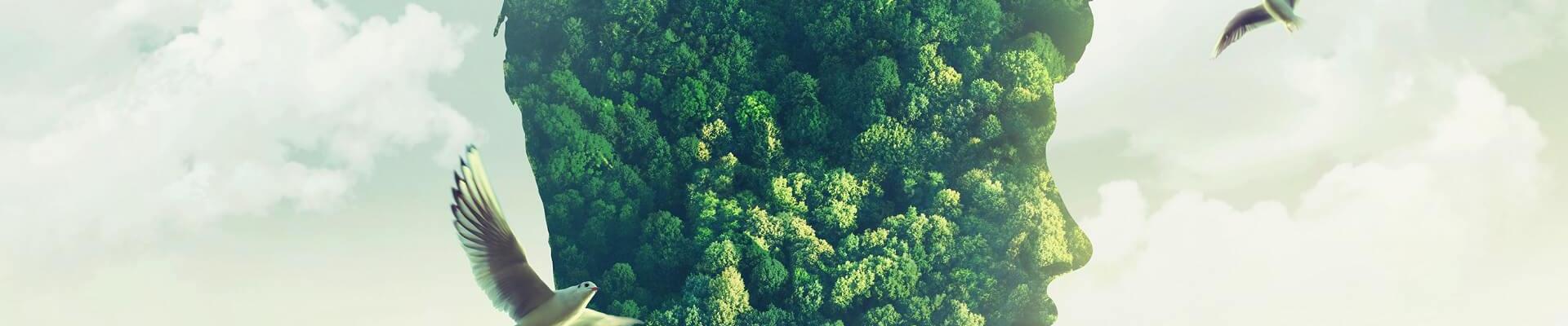 Cambio climático