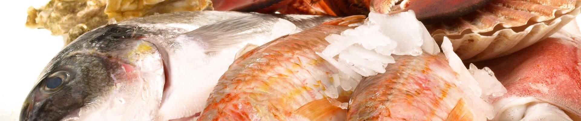 Pescado