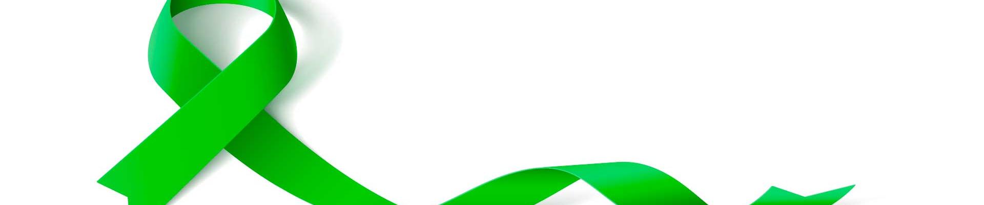 Lazo verde