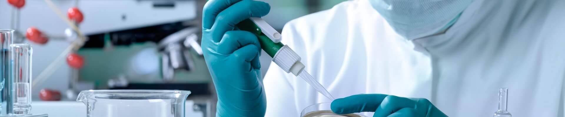 investigación