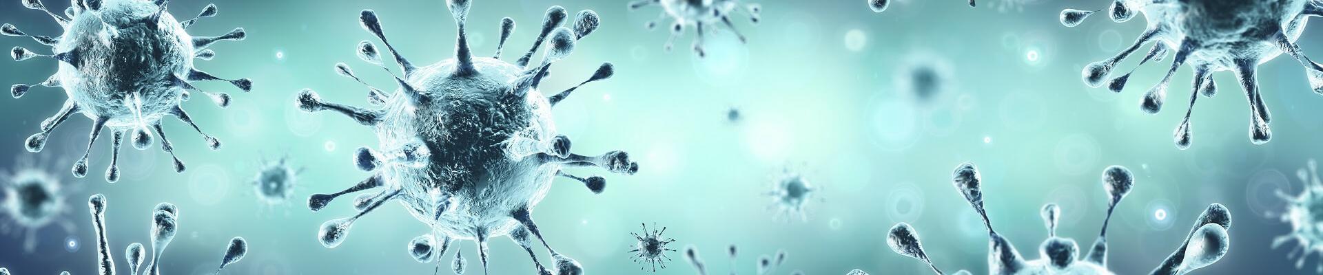 virus