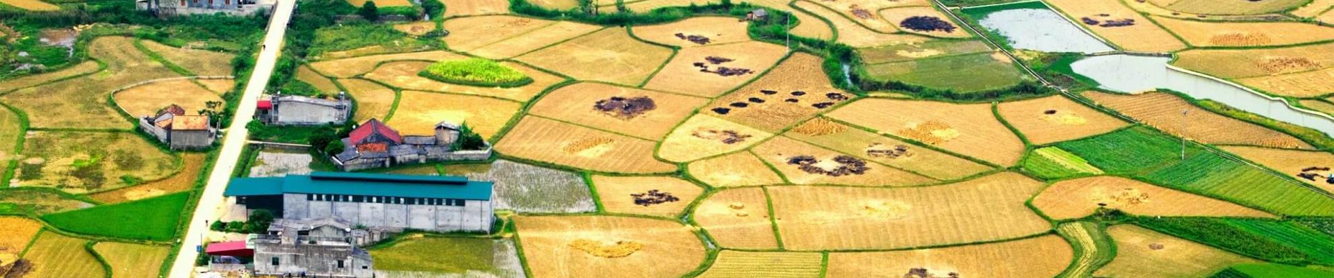 espacio agroindustrial