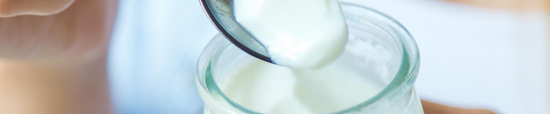 PROBIOTICOS